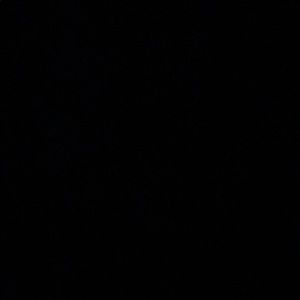 Meet your Posher, Adalis